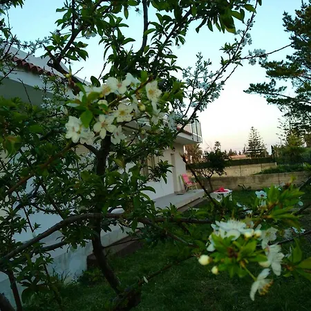 Charming House With Pool In Arenella, Air Conditioning